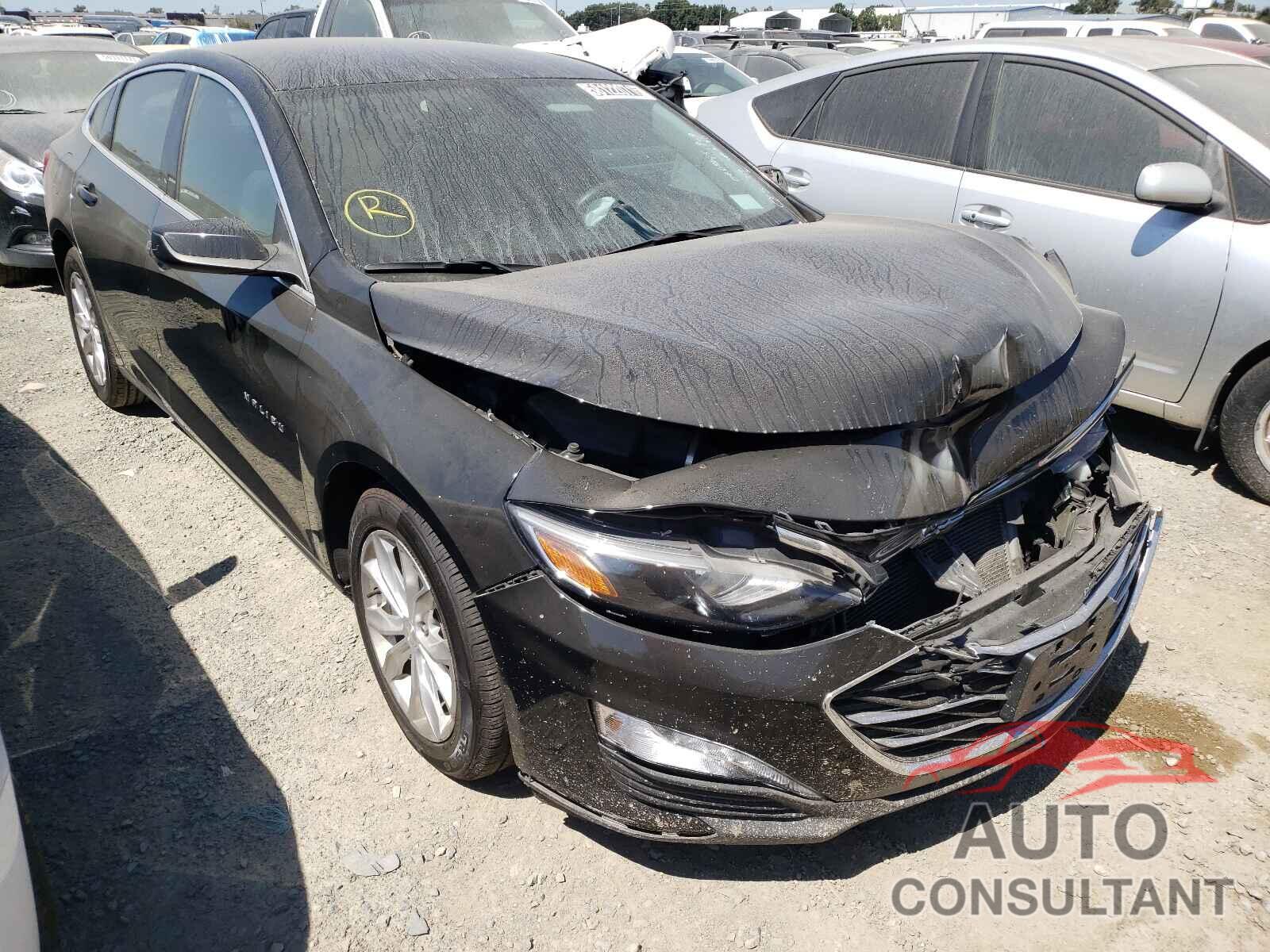 2019 MALIBU CHEVROLET