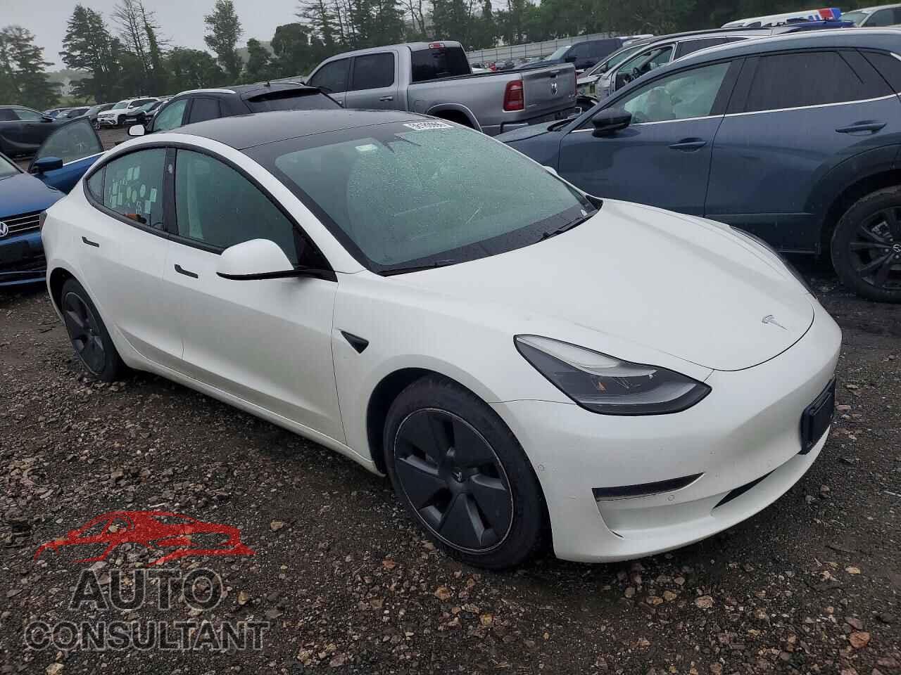 TESLA MODEL 3 2021 - 5YJ3E1EA0MF059076
