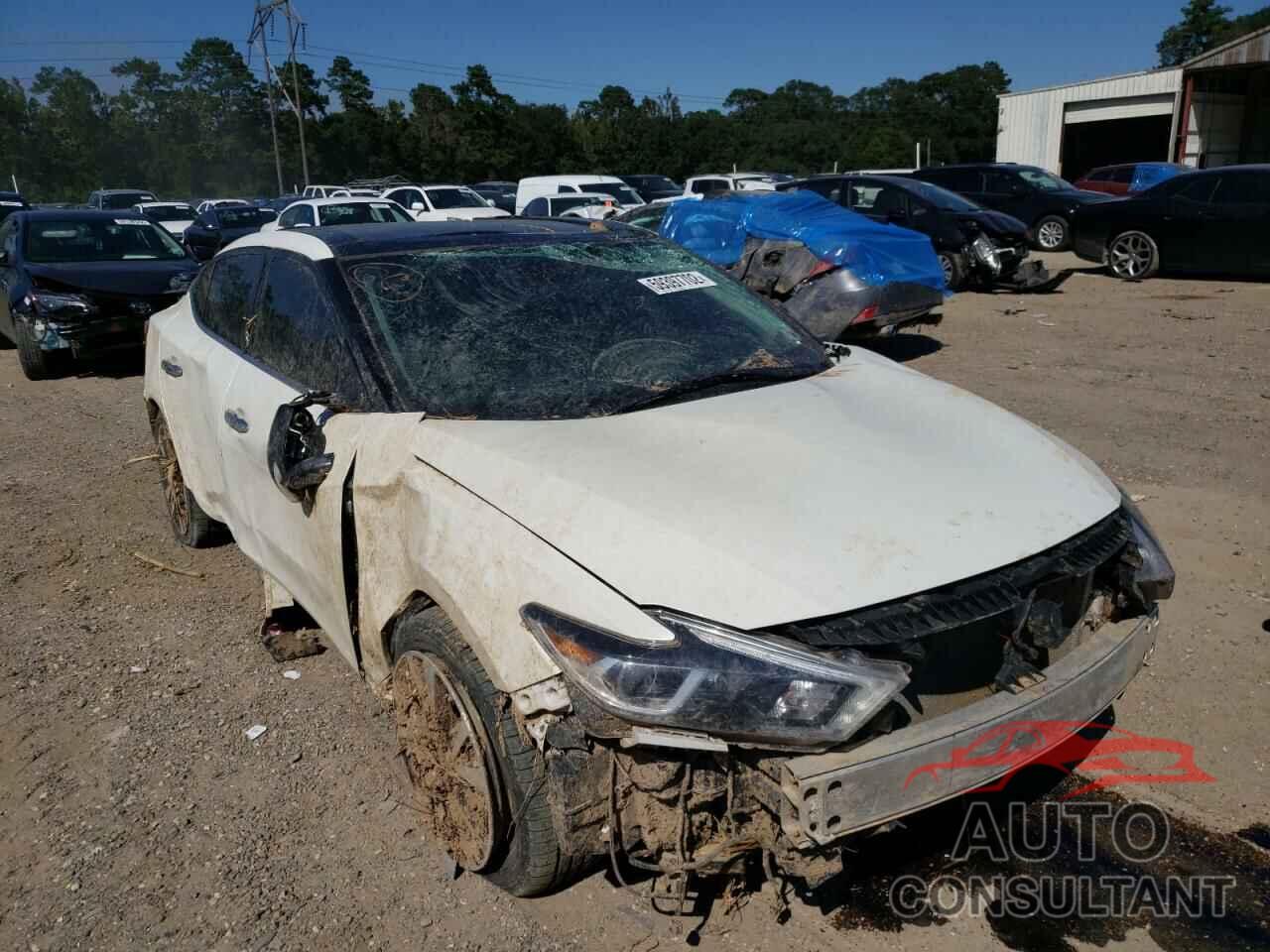 NISSAN MAXIMA 2016 - 1N4AA6APXGC442363