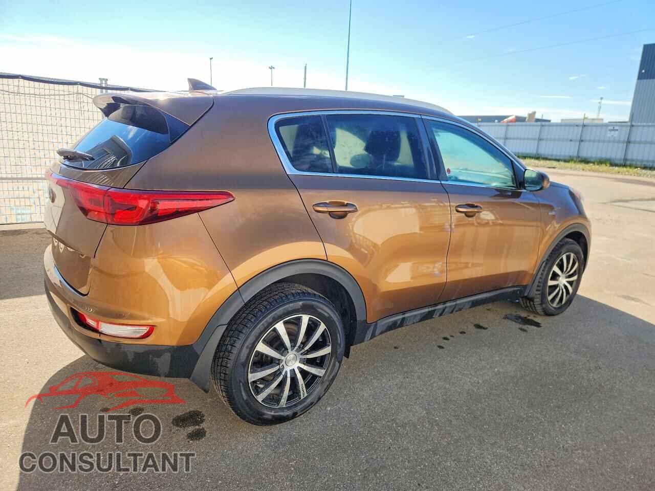 KIA SPORTAGE 2017 - KNDPMCAC7H7088366