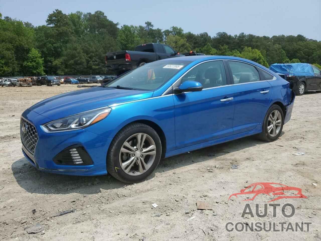 HYUNDAI SONATA 2019 - 5NPE34AF3KH745435