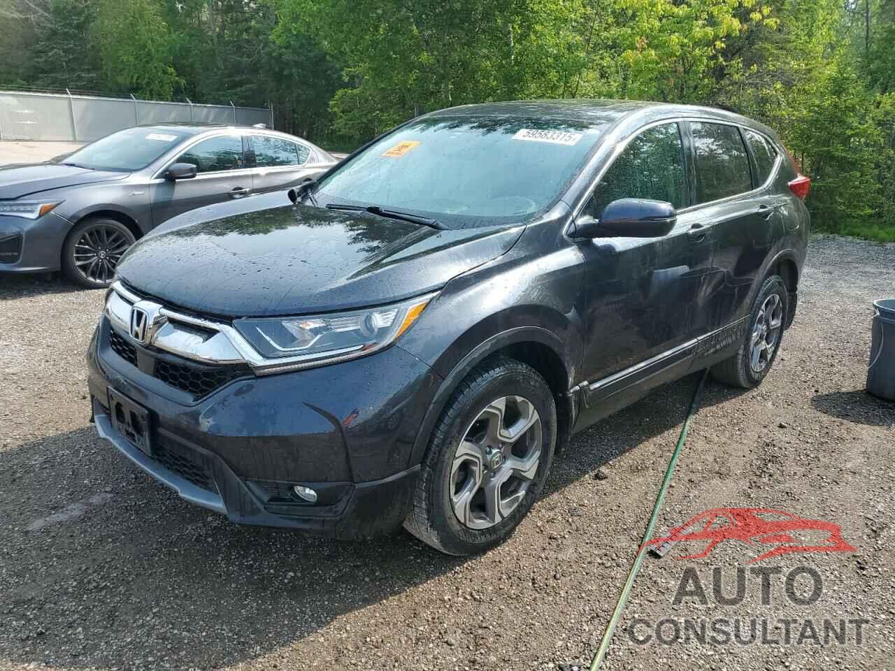 HONDA CRV 2019 - 2HKRW2H56KH148693