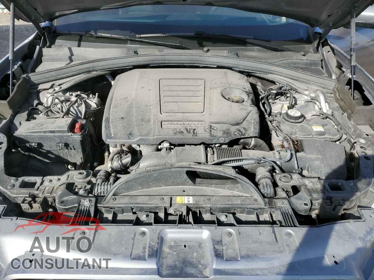 JAGUAR F-PACE 2021 - SADCJ2EX3MA678564