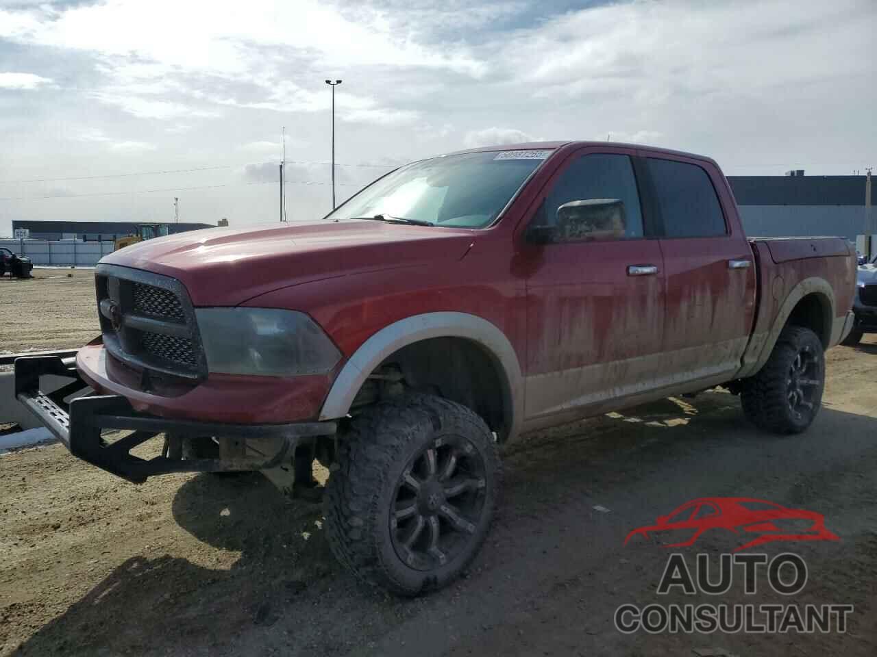 DODGE All Models 2010 - 1D7RV1CT8AS167027