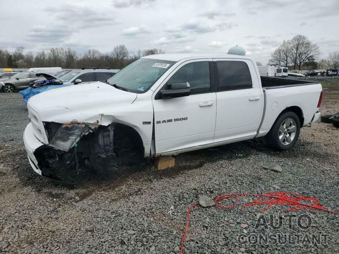 DODGE All Models 2011 - 1D7RV1CT8BS662846