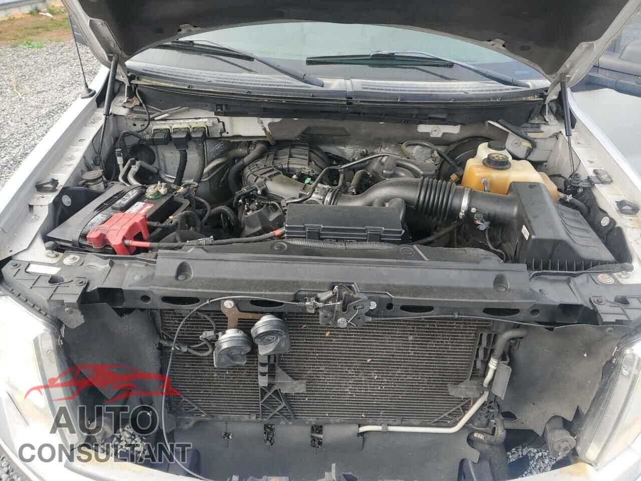 FORD F-150 2013 - 1FTEW1CMXDFD49632