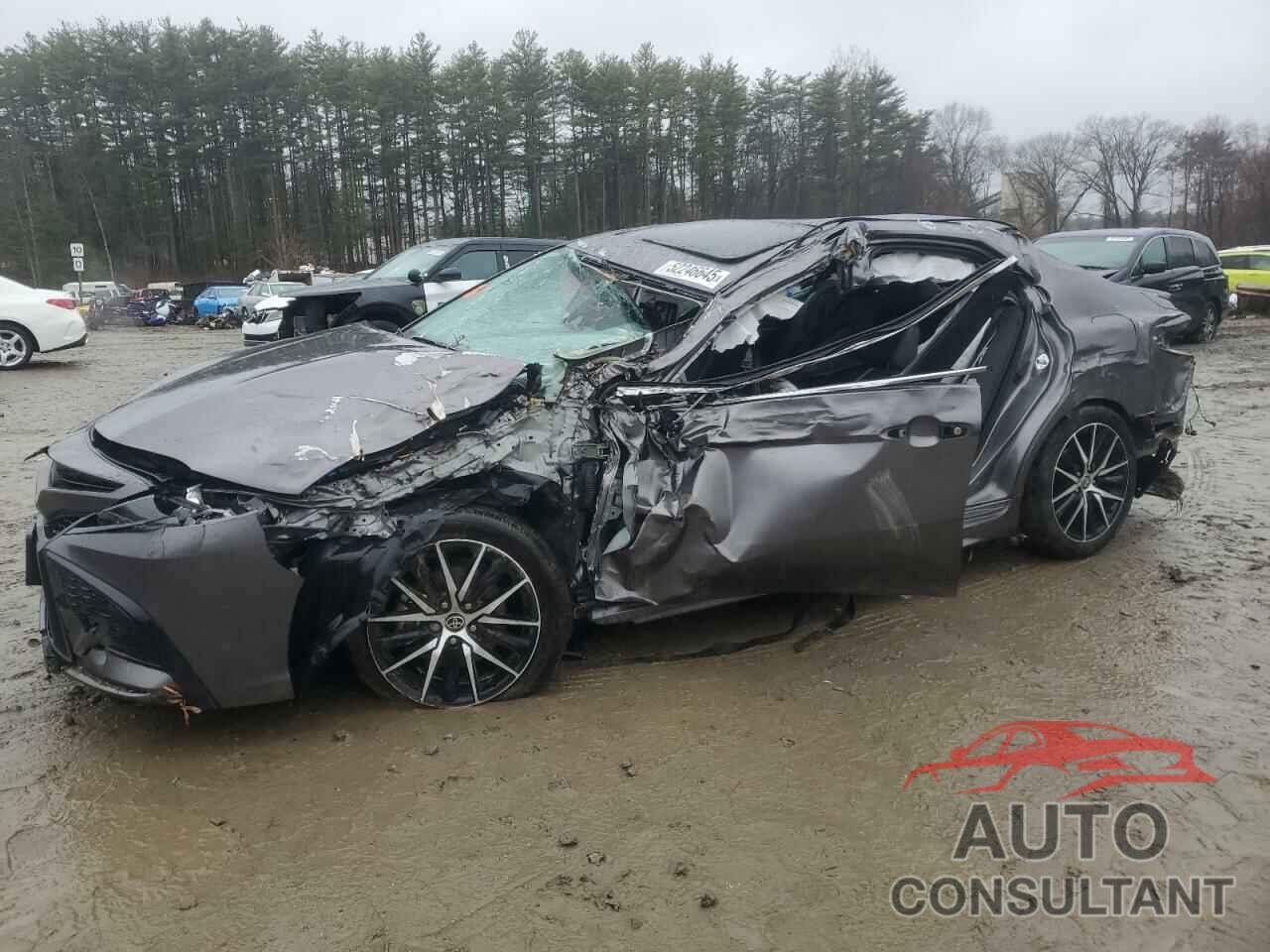 TOYOTA CAMRY 2024 - 4T1G11BK0RU115313
