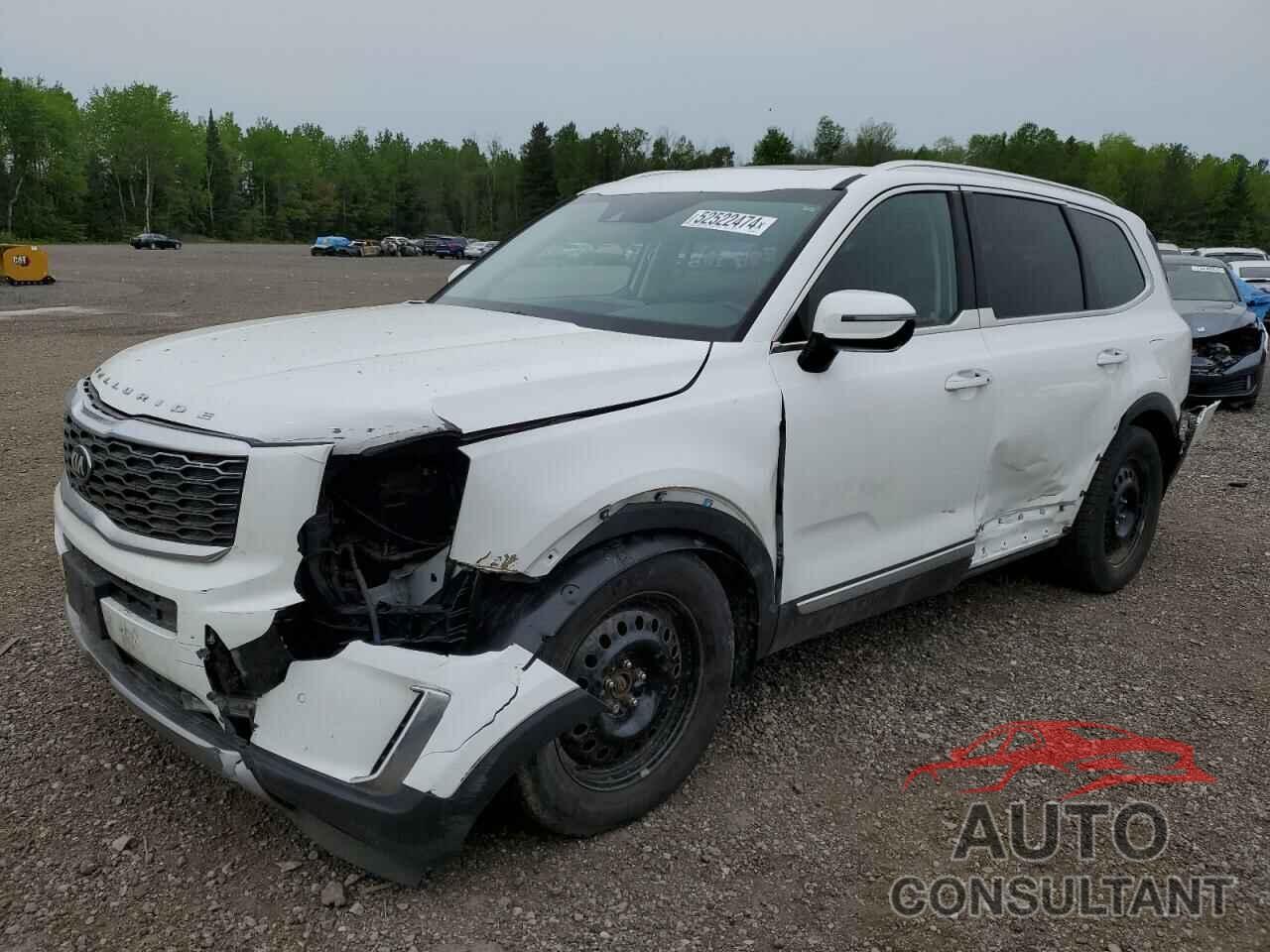 KIA TELLURIDE 2020 - 5XYP5DHCXLG026870