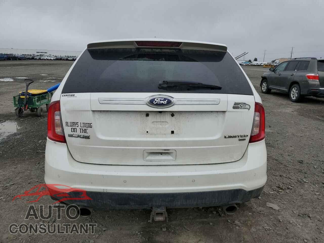 FORD EDGE 2011 - 2FMDK4KC2BBA43343