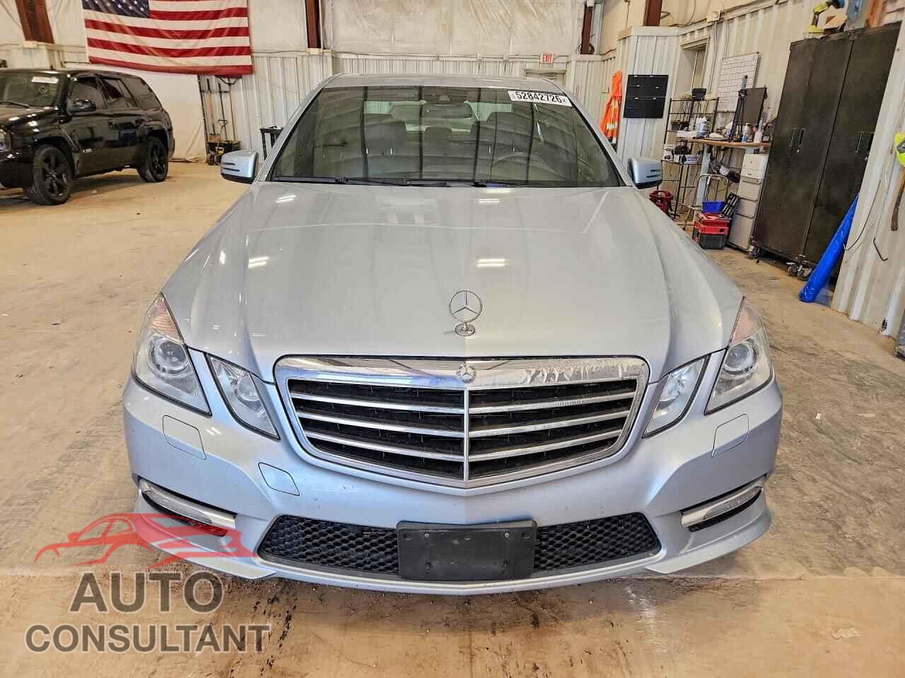 MERCEDES-BENZ E-CLASS 2013 - WDDHF9BB7DA687679