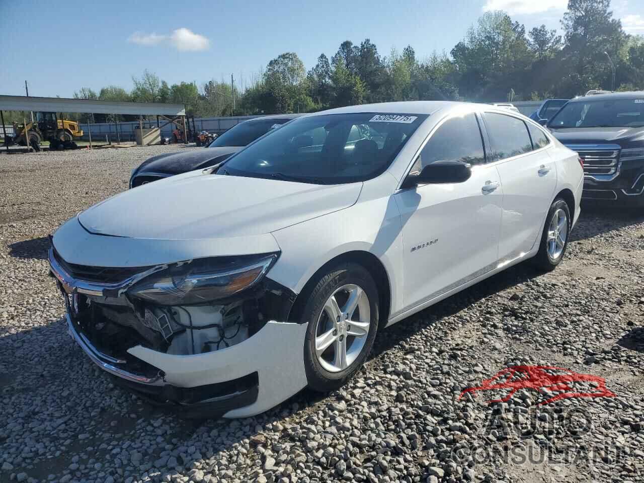 CHEVROLET MALIBU 2020 - 1G1ZC5ST8LF016119