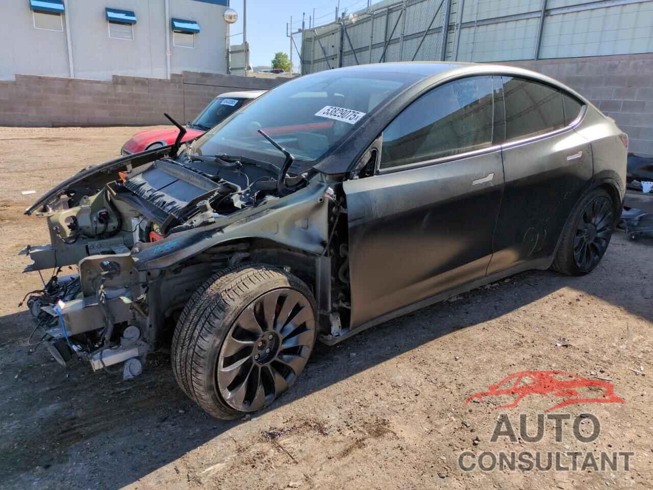 TESLA MODEL Y 2022 - 7SAYGDEF4NF546928