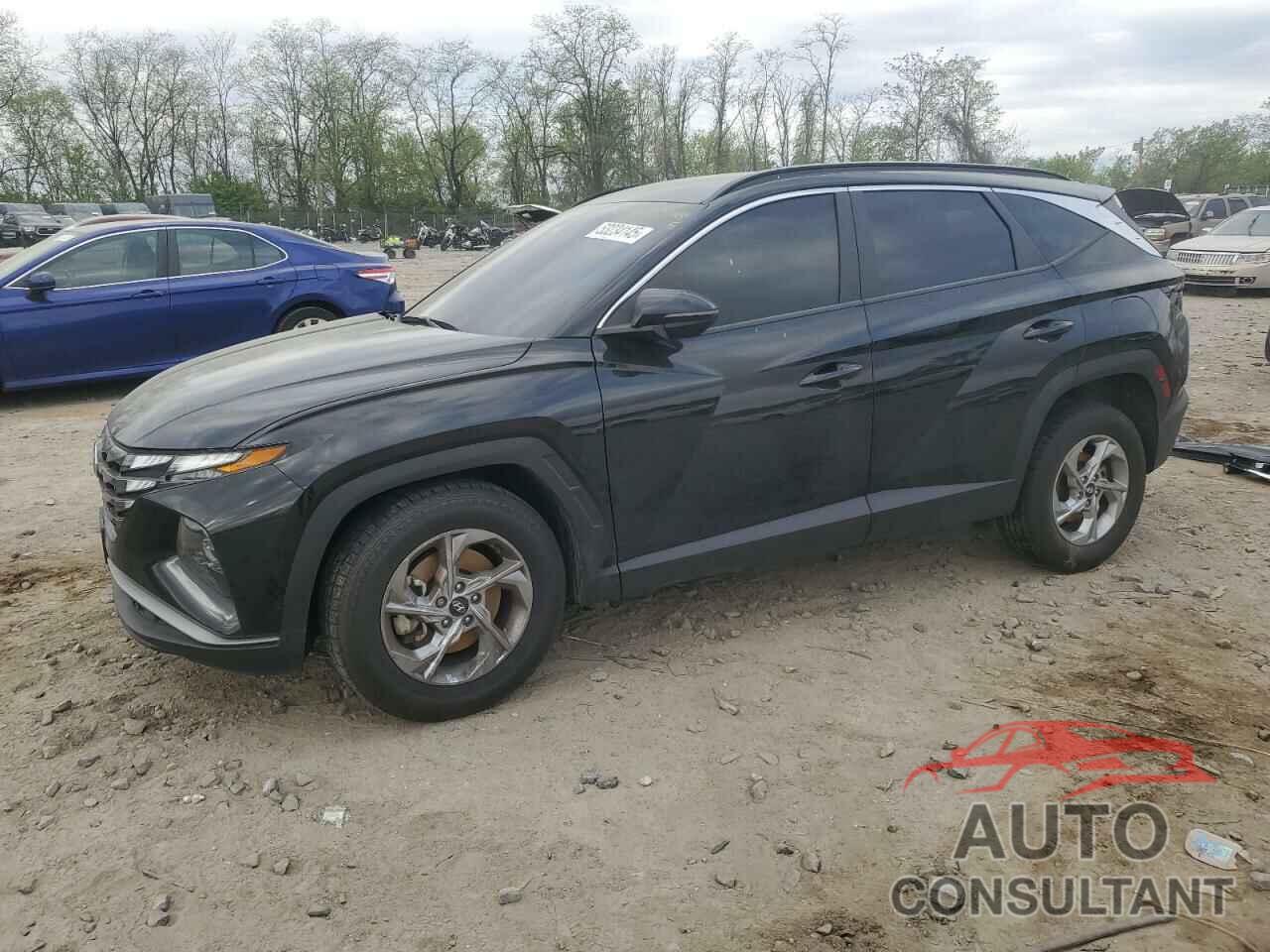 HYUNDAI TUCSON 2023 - 5NMJBCAE1PH257432