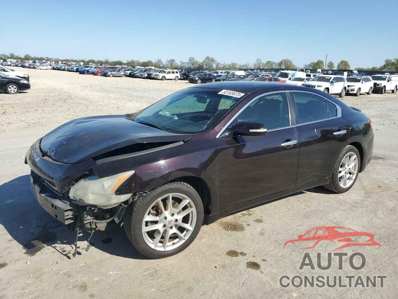 NISSAN MAXIMA 2011 - 1N4AA5AP7BC835000