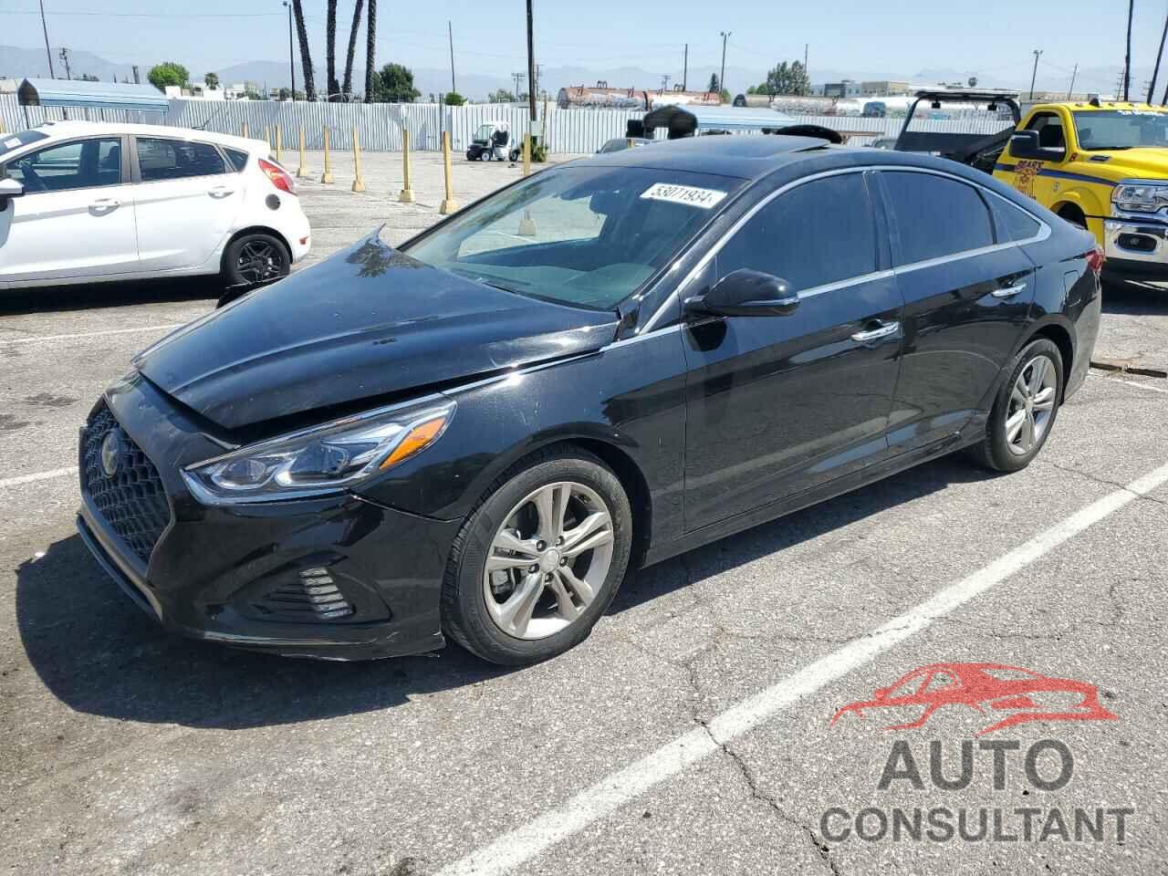 HYUNDAI SONATA 2019 - 5NPE34AF1KH812016