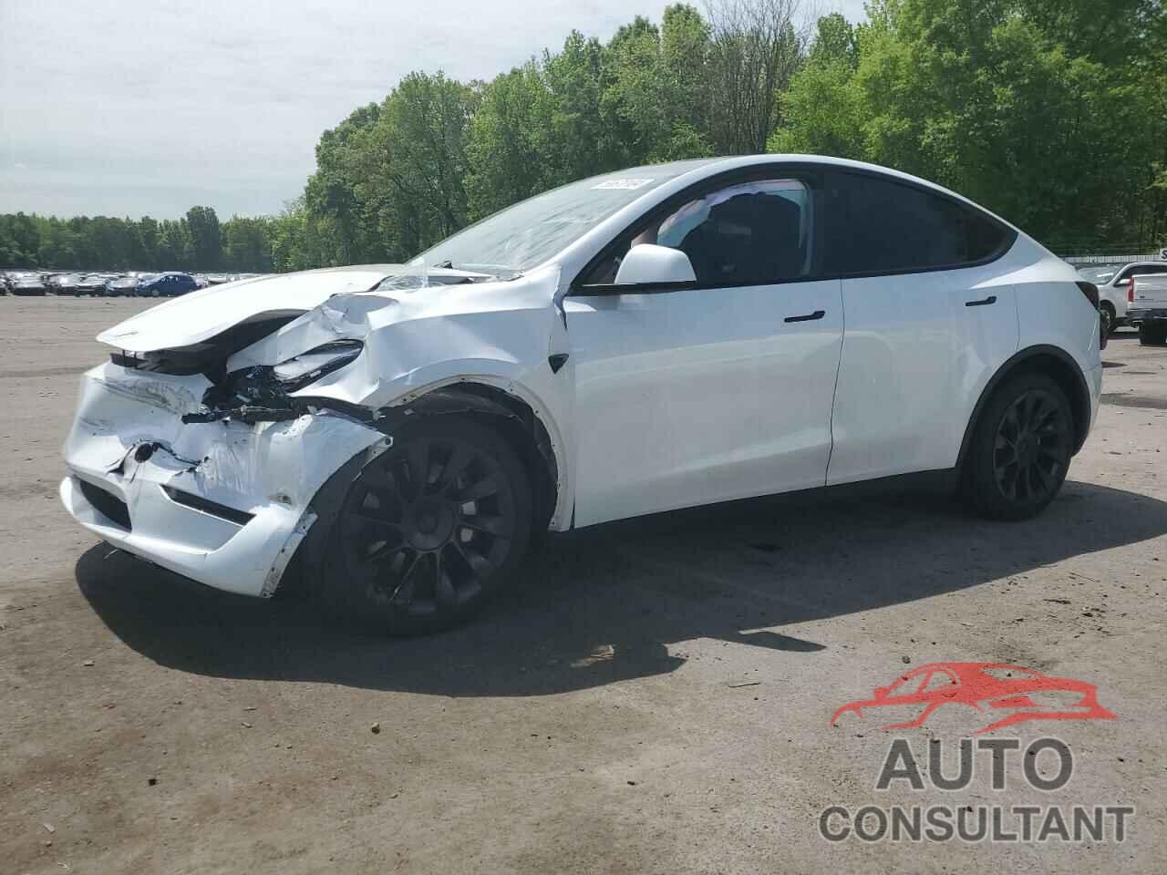 TESLA MODEL Y 2023 - 7SAYGDEE0PF758154