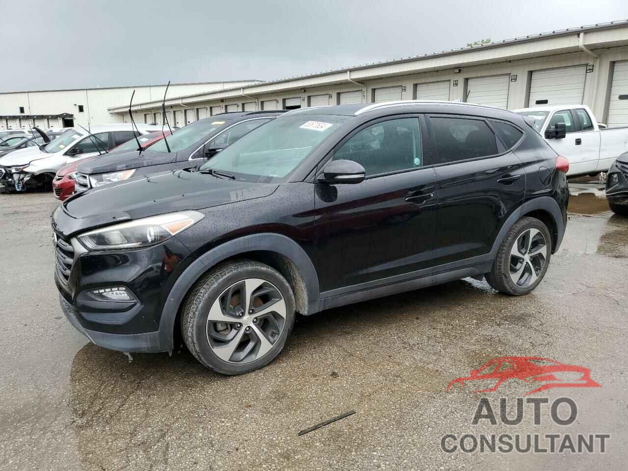 HYUNDAI TUCSON 2016 - KM8J3CA28GU049863