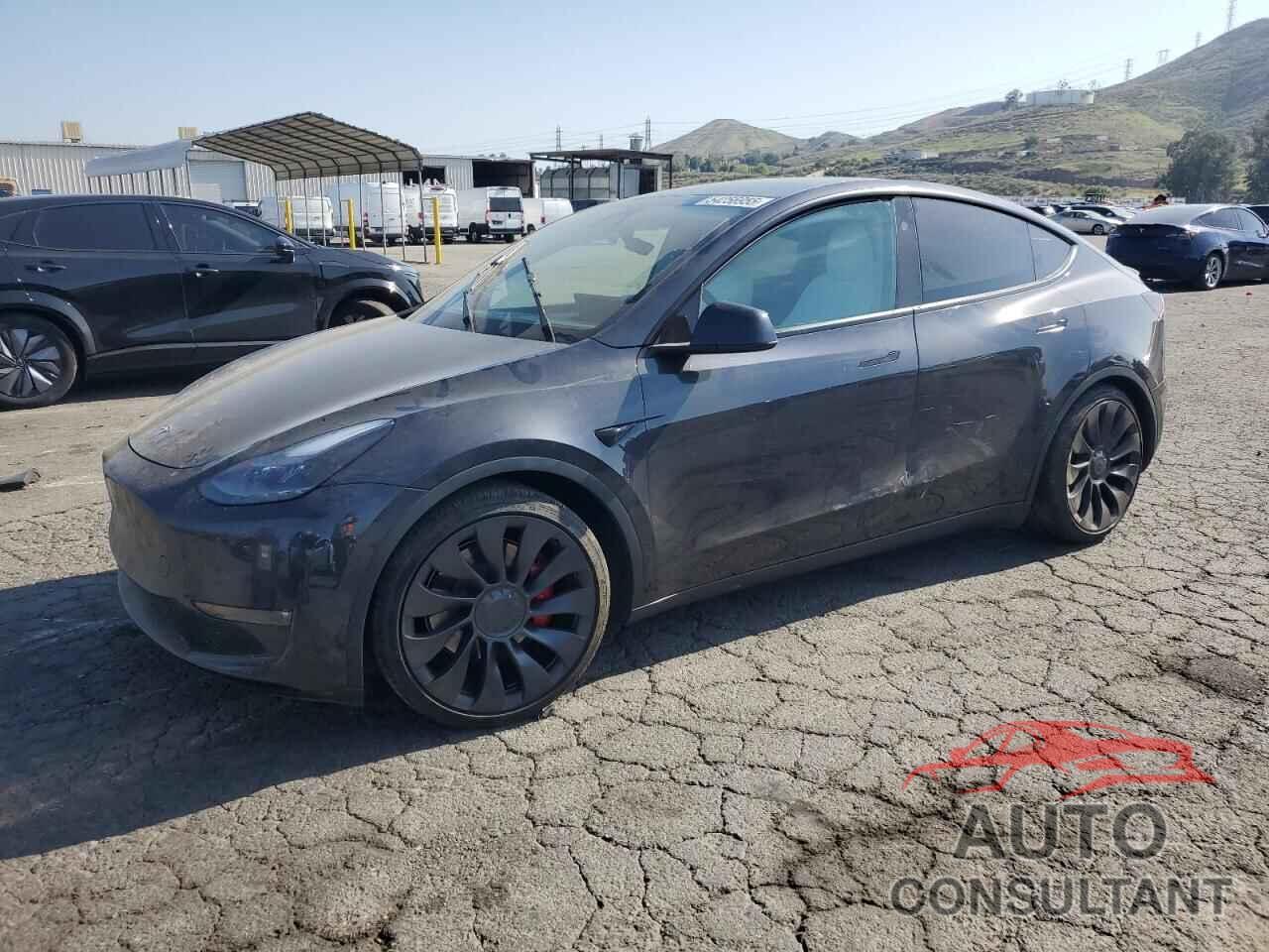 TESLA MODEL Y 2024 - 7SAYGDEF0RF162022