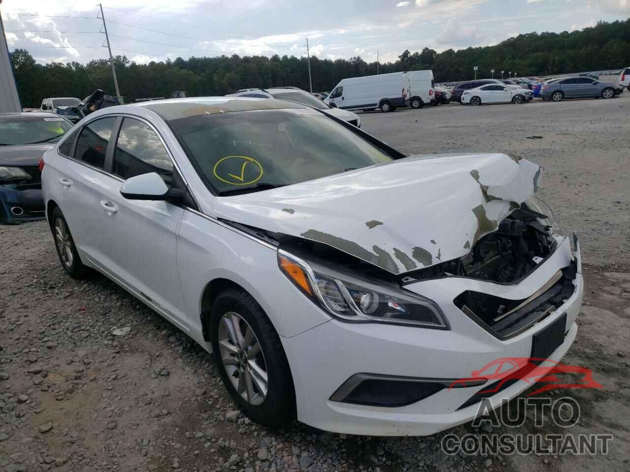 HYUNDAI SONATA 2016 - 5NPE24AF7GH371423