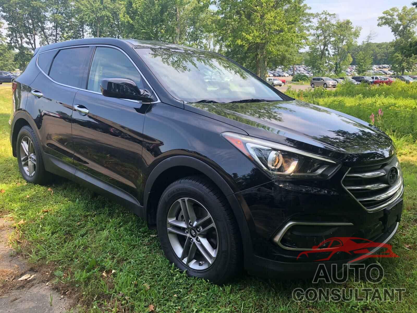 HYUNDAI SANTA FE 2017 - 5NMZTDLB3HH019463