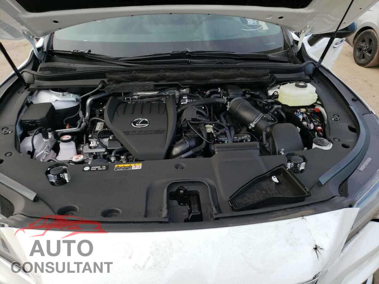 LEXUS RX 500H F 2023 - 2T2BCMEA6PC005000