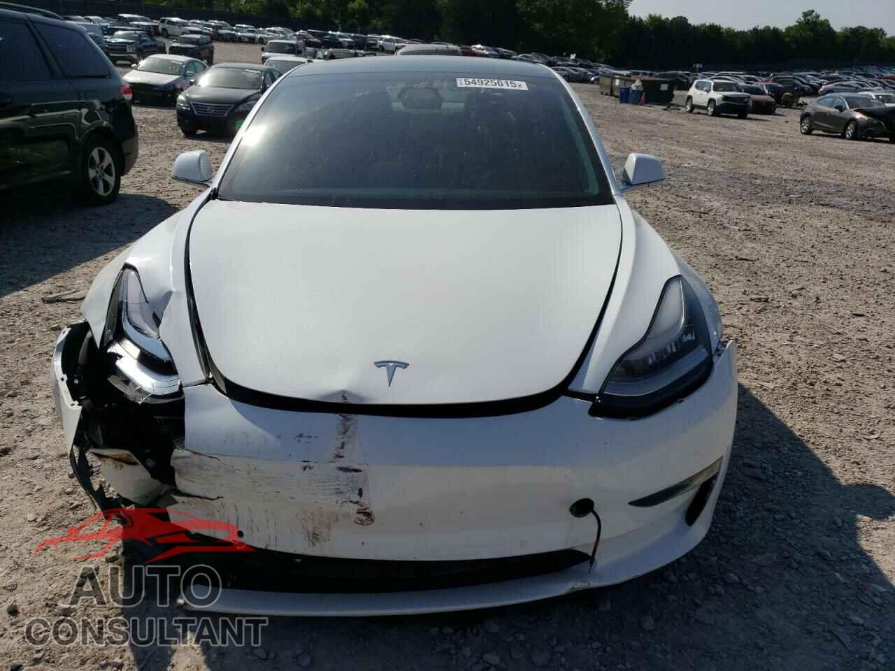 TESLA MODEL 3 2019 - 5YJ3E1EA3KF476401