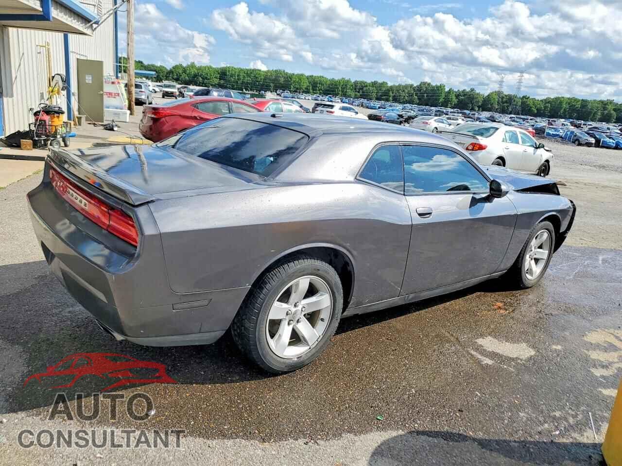 DODGE CHALLENGER 2014 - 2C3CDYBT4EH214391
