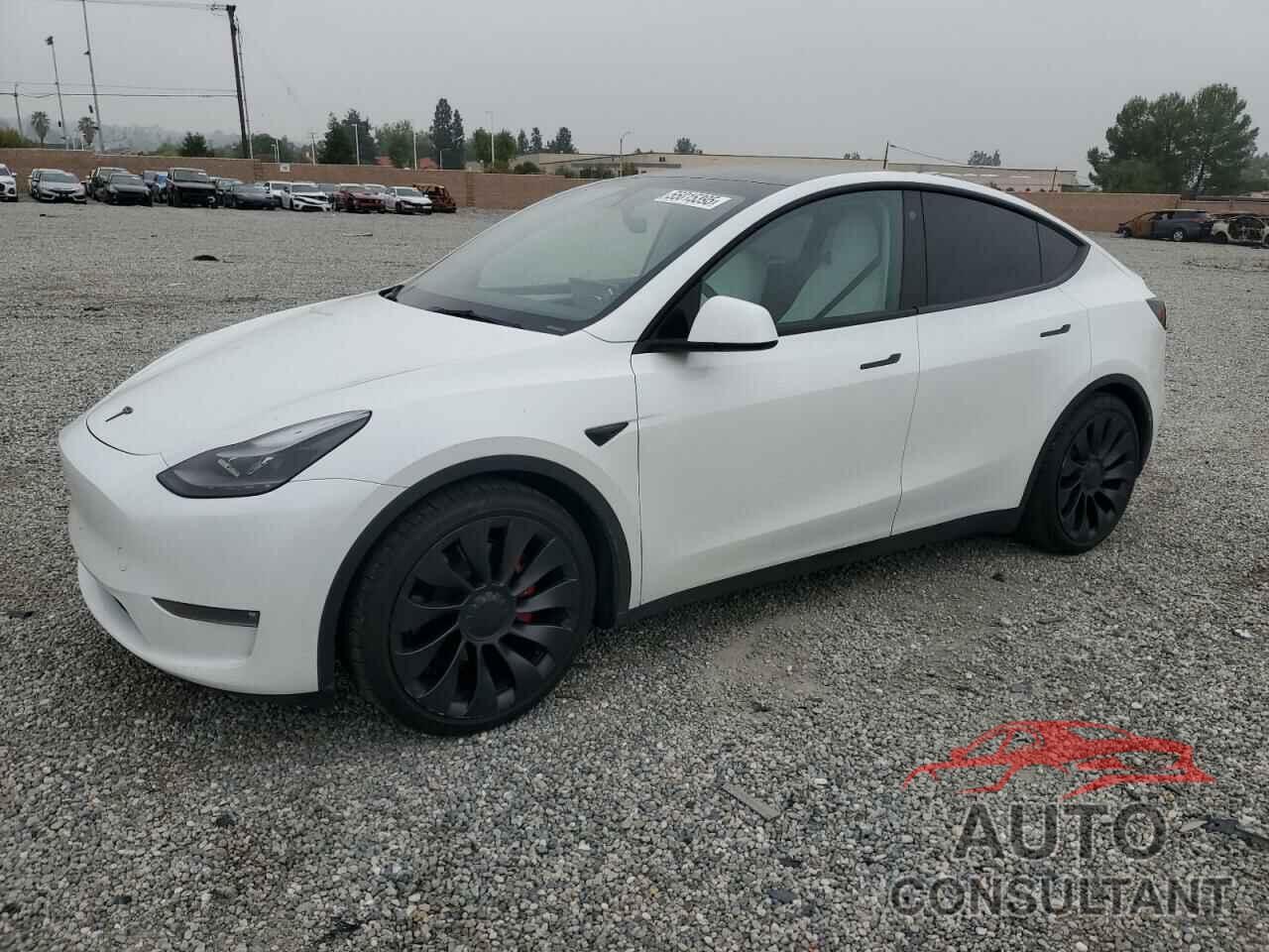 TESLA MODEL Y 2023 - 7SAYGDEF7PF632513