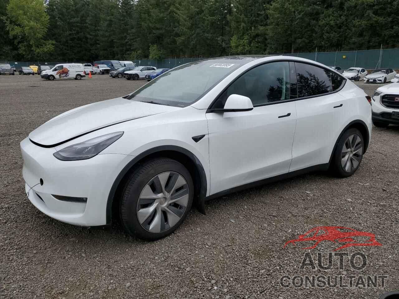 TESLA MODEL Y 2023 - 7SAYGAEE3PF891618