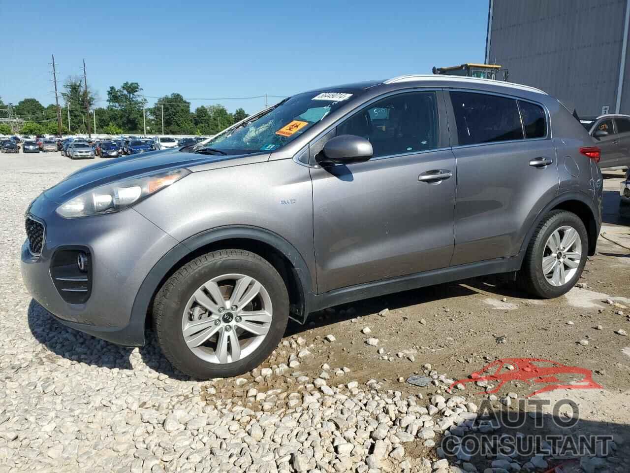 KIA SPORTAGE 2017 - KNDPMCAC9H7291288