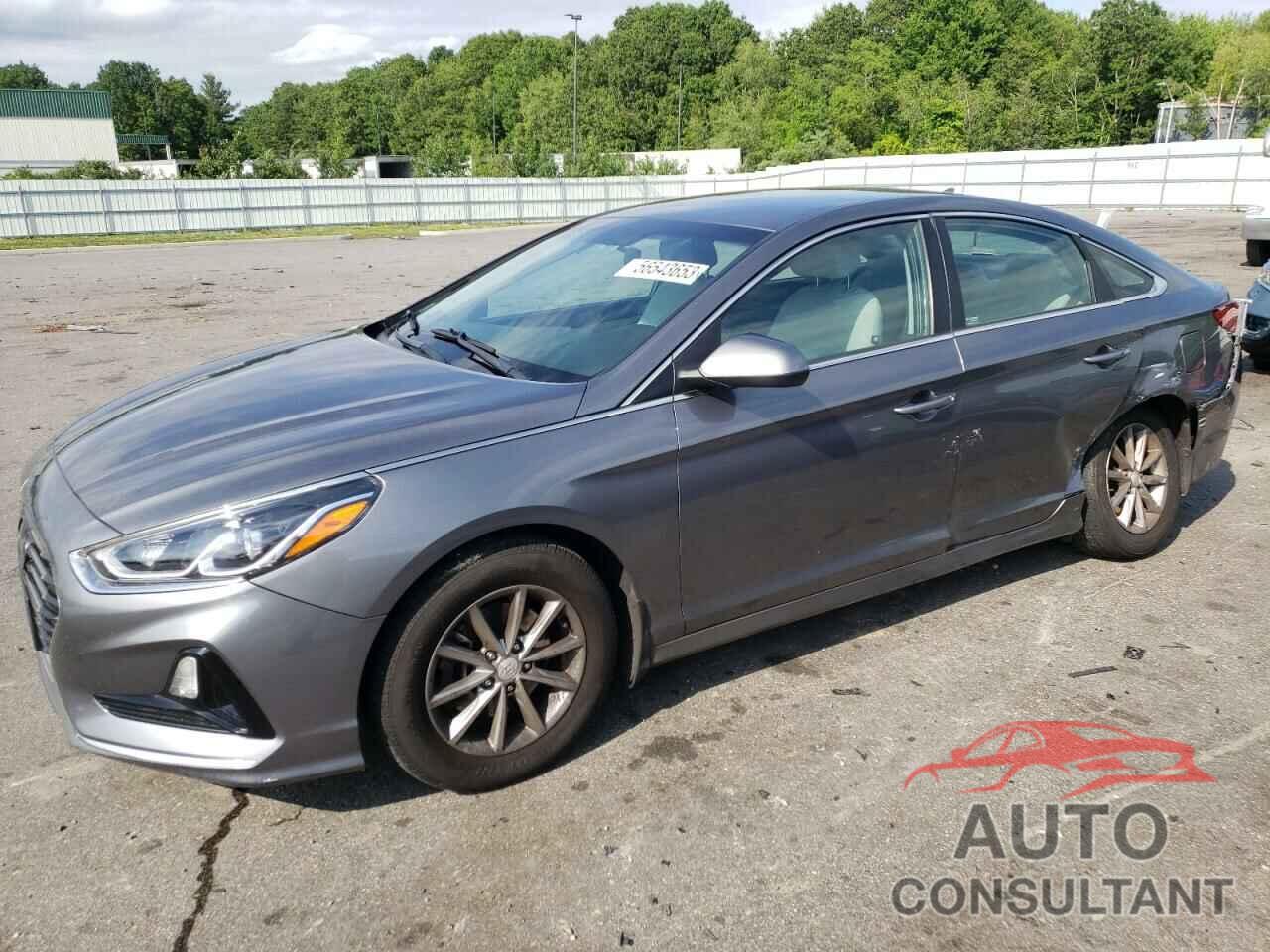 HYUNDAI SONATA 2019 - 5NPE24AF5KH798043