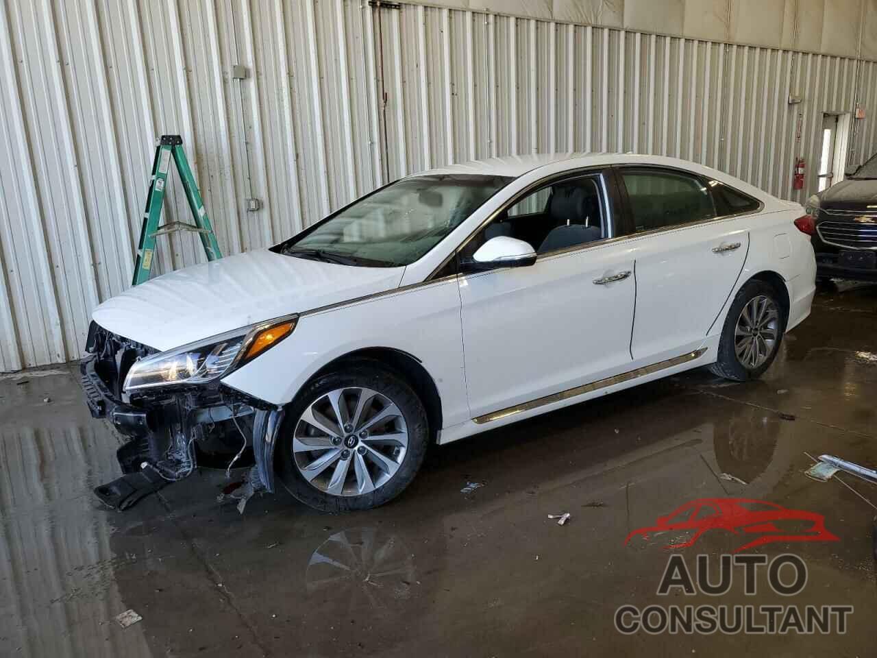 HYUNDAI SONATA 2016 - 5NPE34AF7GH326365
