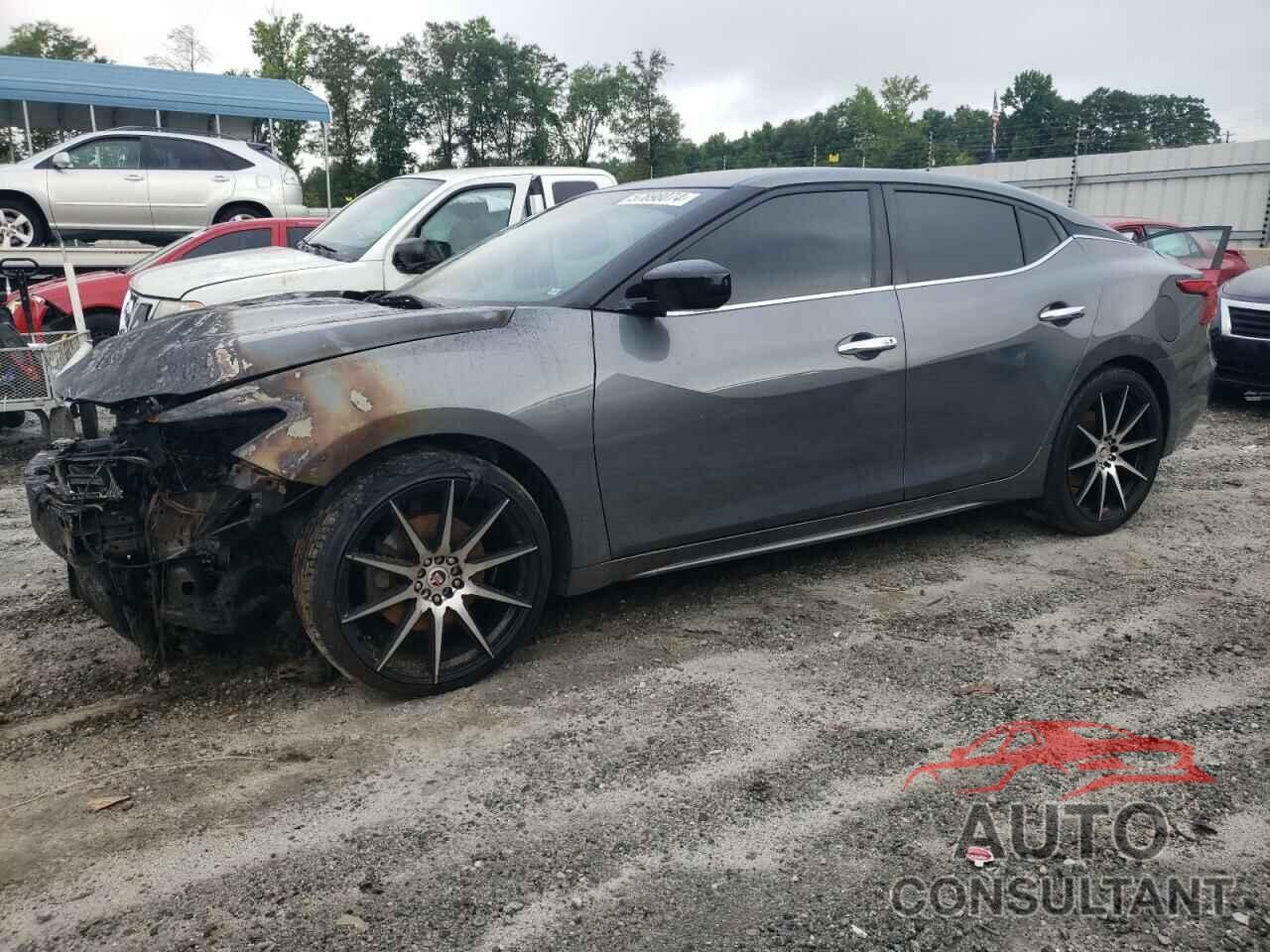 NISSAN MAXIMA 2017 - 1N4AA6APXHC421241