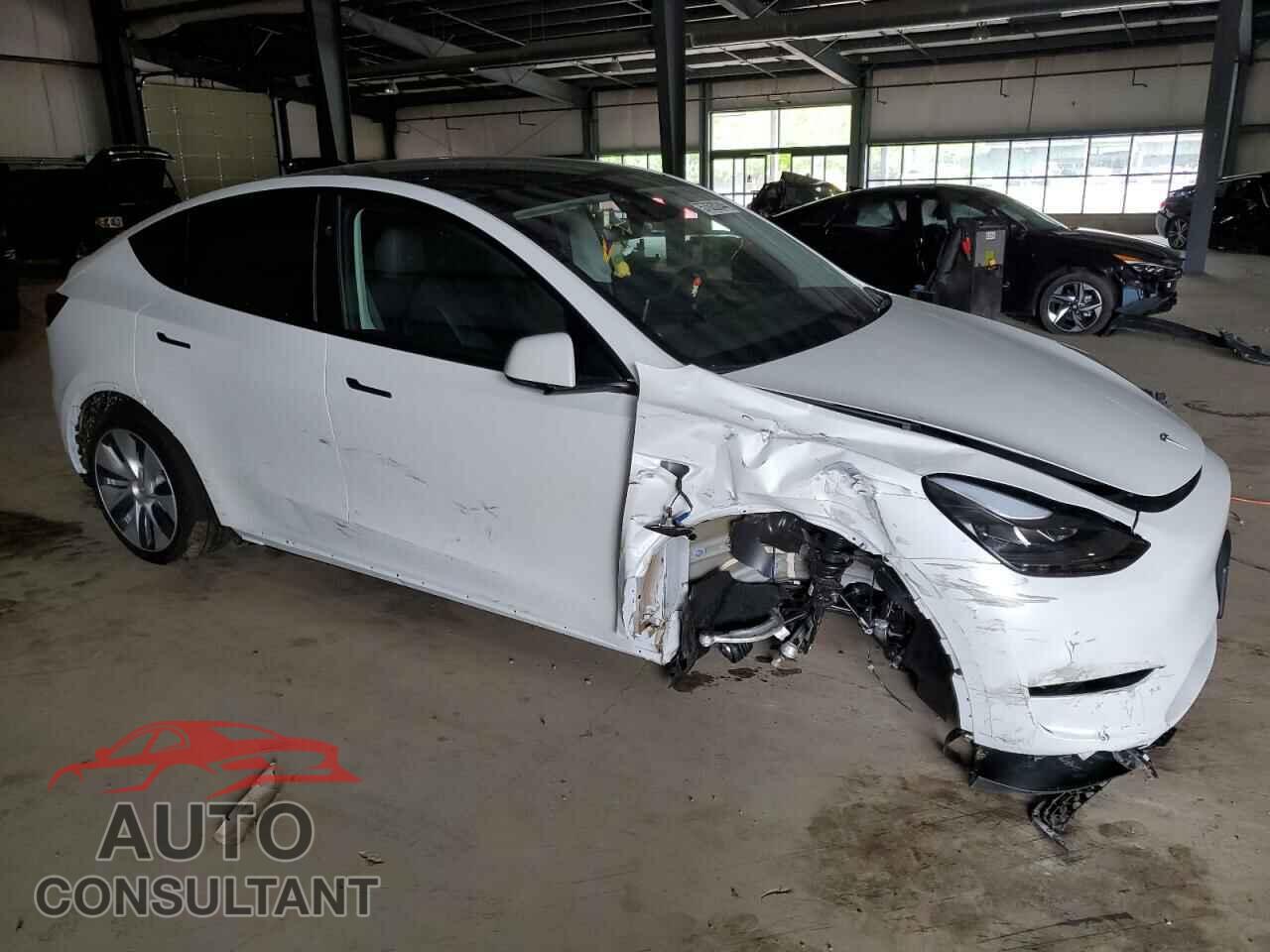 TESLA MODEL Y 2024 - 7SAYGDEE6RF060344