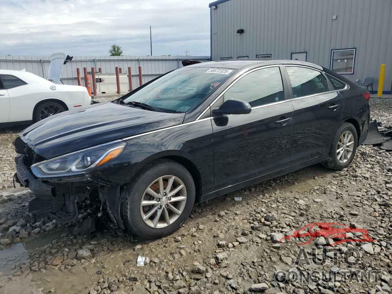 HYUNDAI SONATA 2018 - 5NPE24AF3JH722934