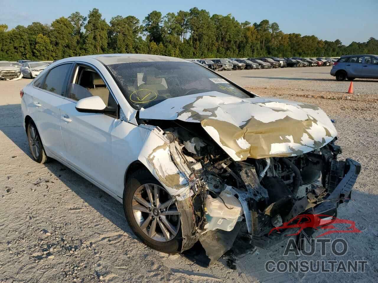 HYUNDAI SONATA 2016 - 5NPE24AFXGH403068