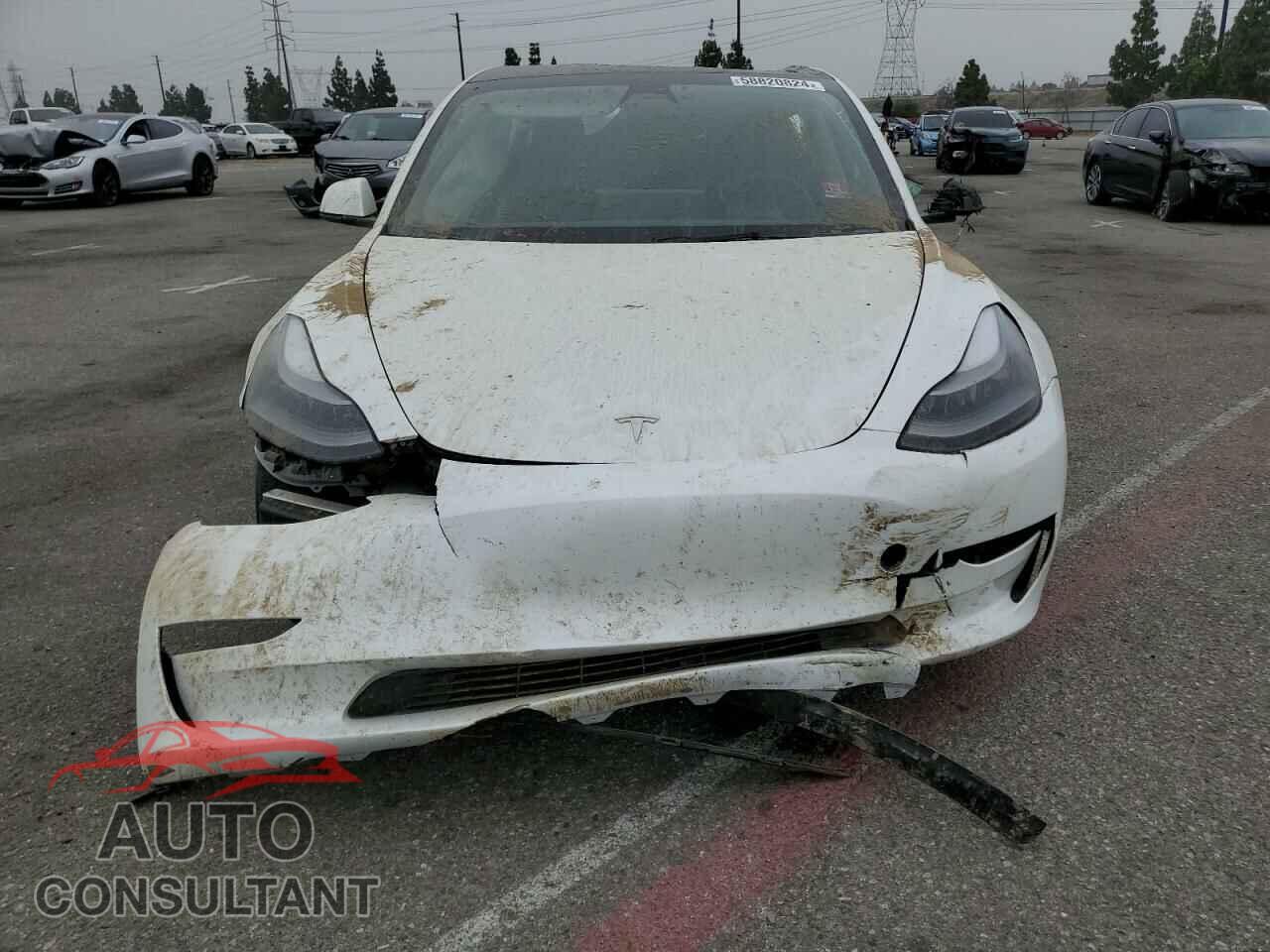 TESLA MODEL 3 2023 - 5YJ3E1EA2PF583513