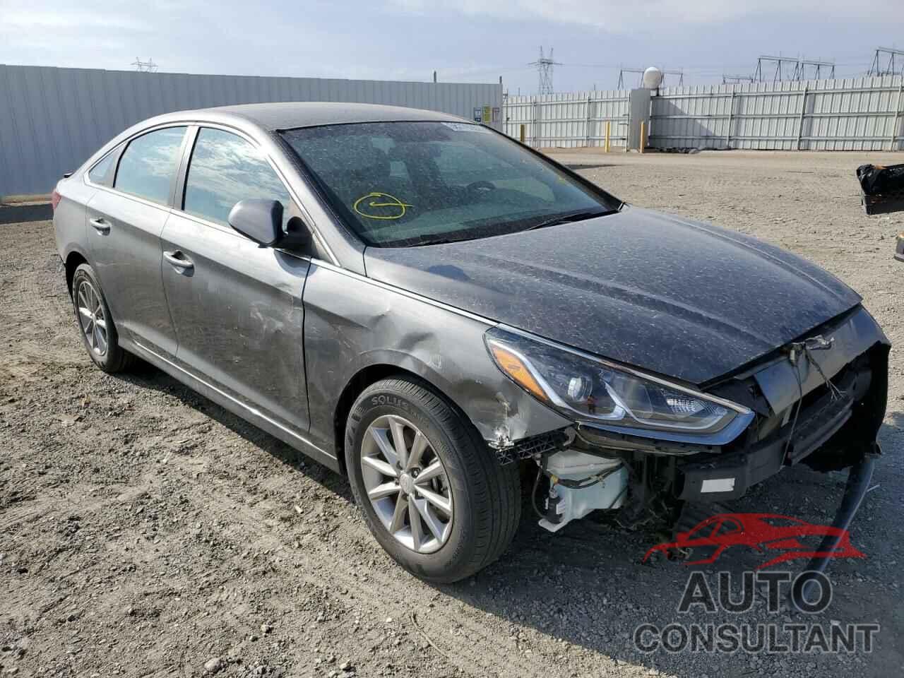 HYUNDAI SONATA 2019 - 5NPE24AF6KH809387