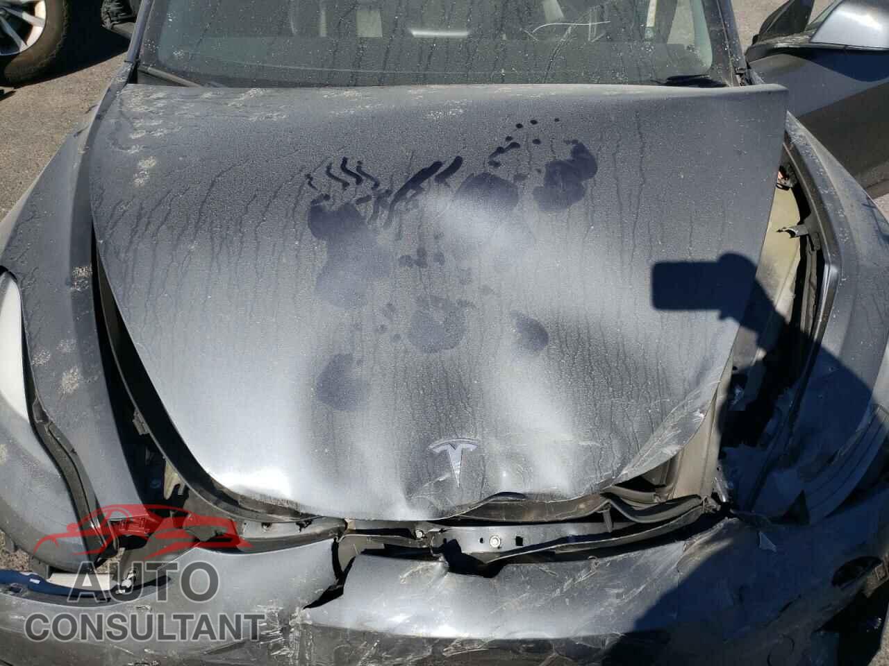 TESLA MODEL 3 2022 - 5YJ3E1EA8NF144555