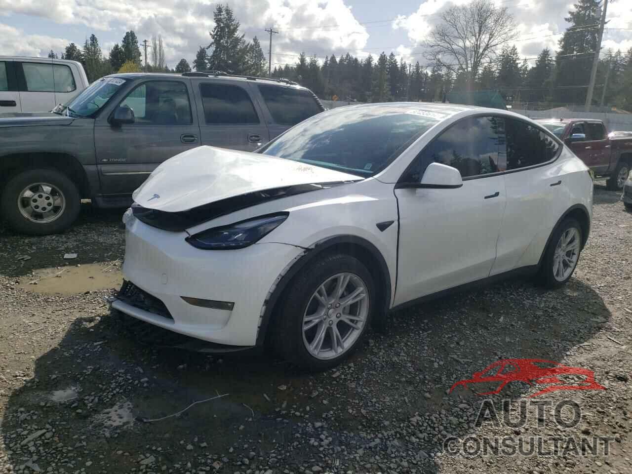 TESLA MODEL Y 2023 - 7SAYGDEE8PF684935