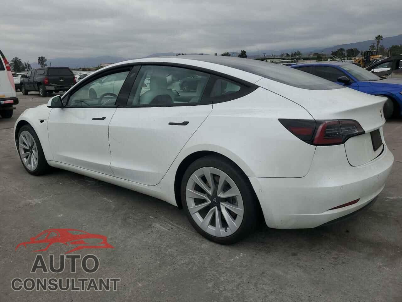 TESLA MODEL 3 2022 - 5YJ3E1EA1NF313024