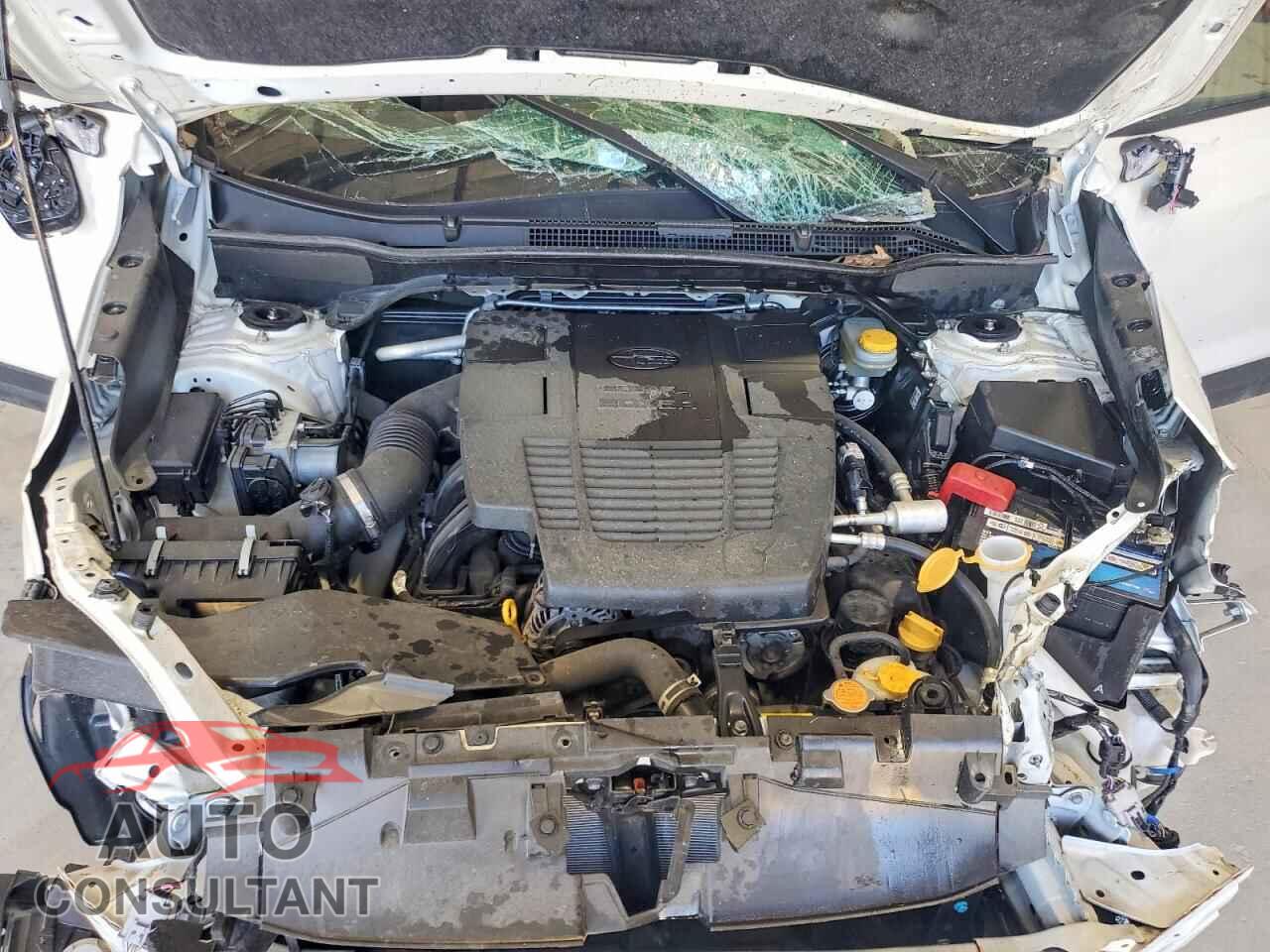SUBARU FORESTER 2021 - JF2SKAFC0MH450475