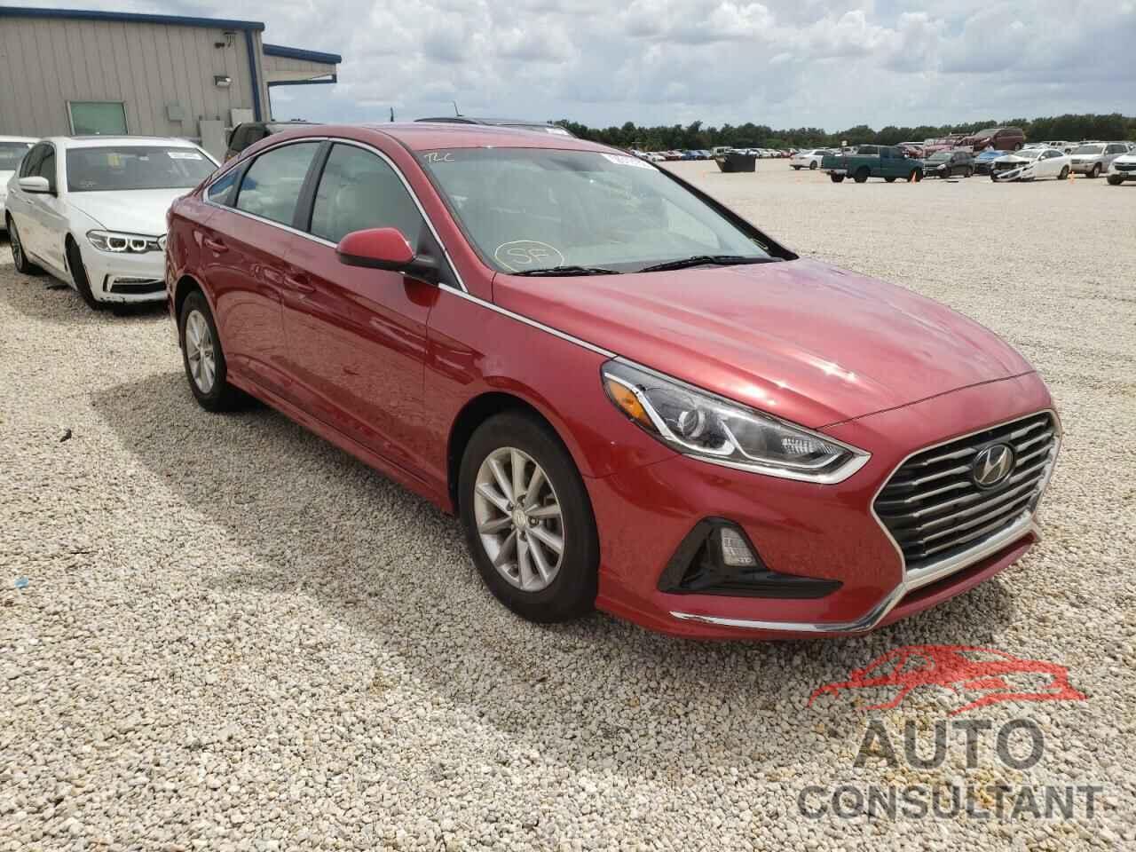 HYUNDAI SONATA 2019 - 5NPE24AF4KH750484