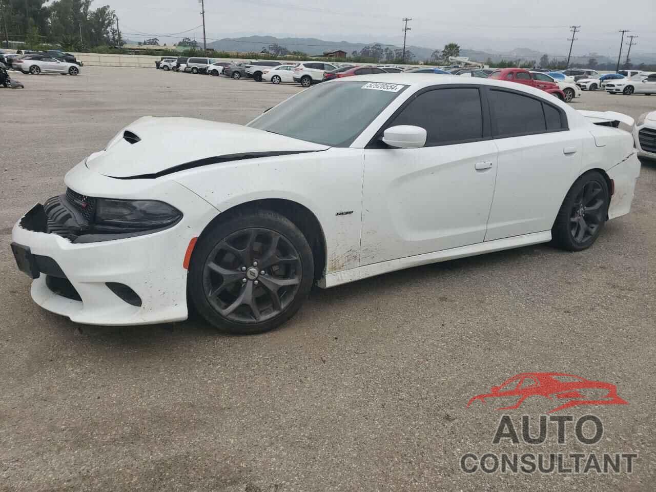 DODGE CHARGER 2019 - 2C3CDXCT9KH625757