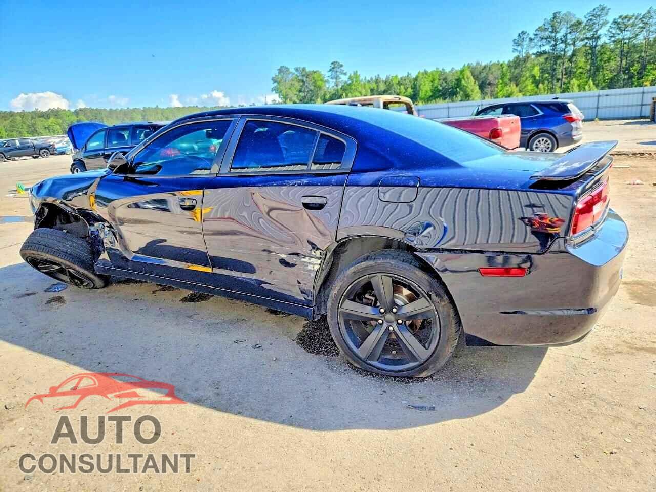 DODGE CHARGER 2012 - 2C3CDXHGXCH282230