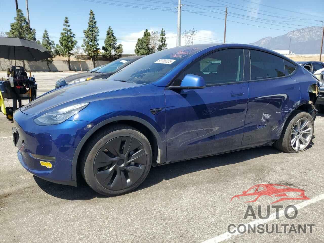 TESLA MODEL Y 2022 - 7SAYGDEE5NF407558
