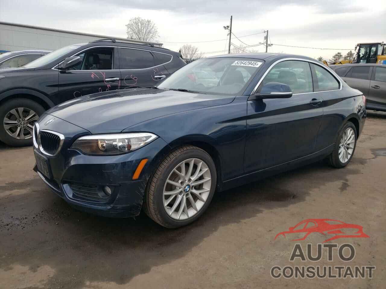 BMW 2 SERIES 2015 - WBA1G9C57FVX96850