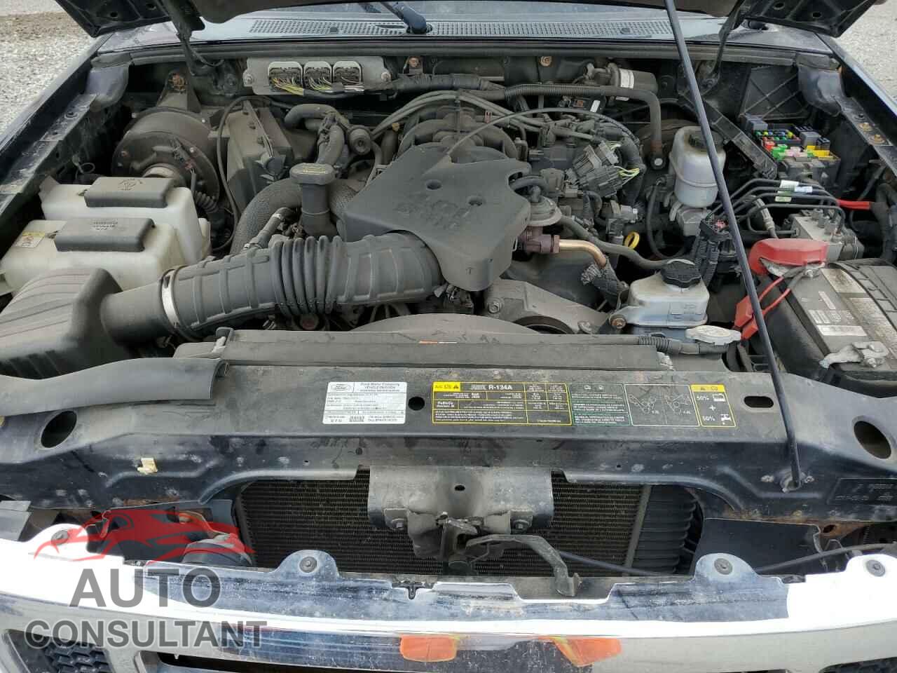 FORD RANGER 2011 - 1FTKR4EE9BPA84856