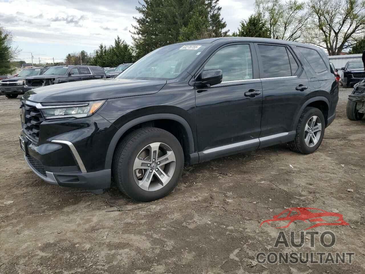 HONDA PILOT 2024 - 5FNYG1H41RB030036