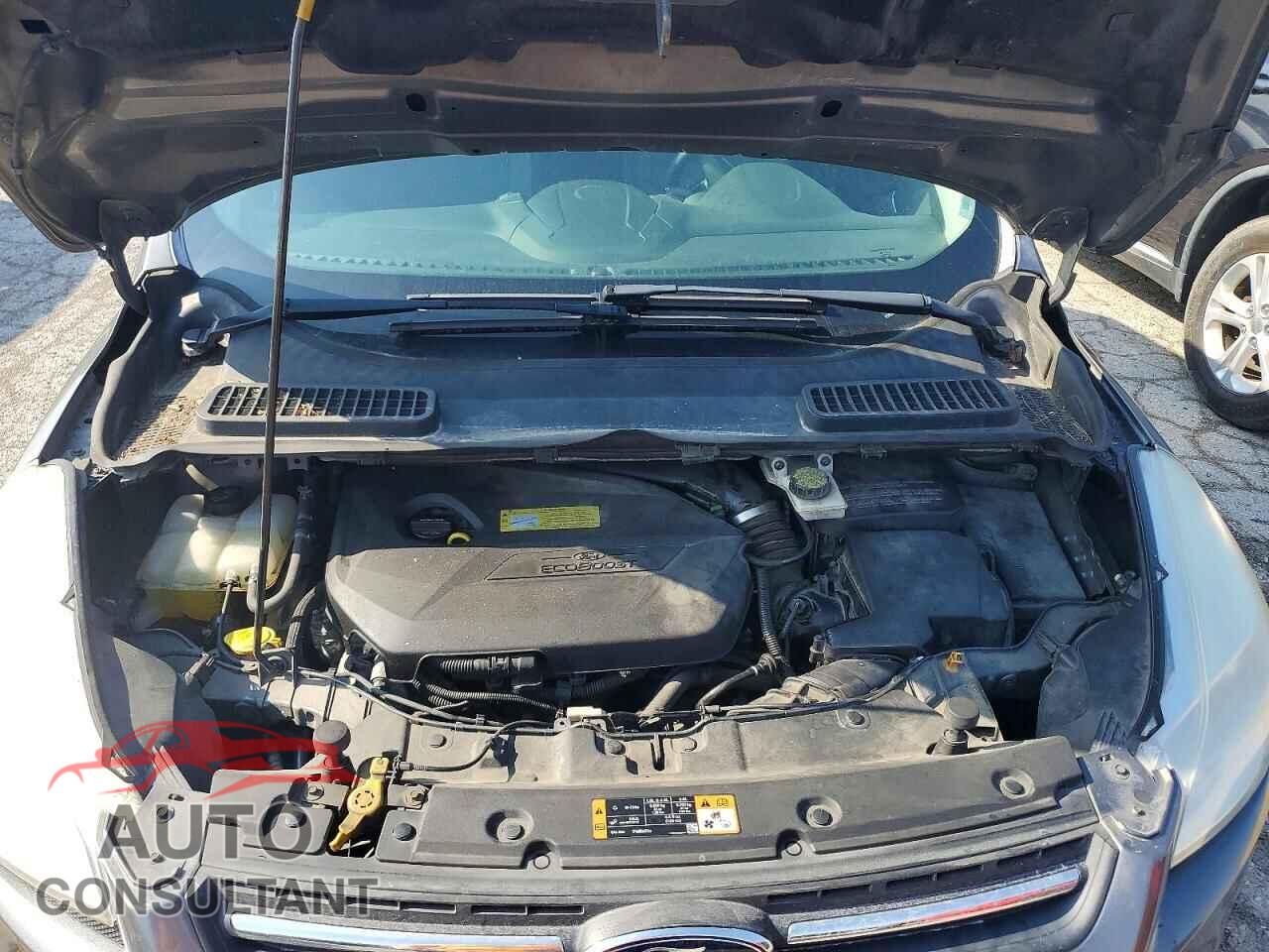 FORD ESCAPE 2014 - 1FMCU0GX5EUC31895
